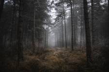 Jean-Baptiste PETER - JIB PETER PHOTOGRAPHE