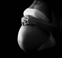 Rodolphe SERRES - RODOLPHE SERRES